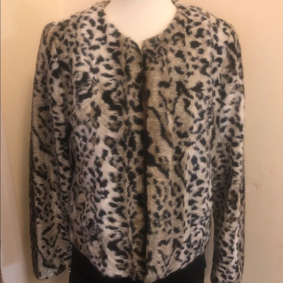 Express Leopard Coat Medium - Picture 3 of 9